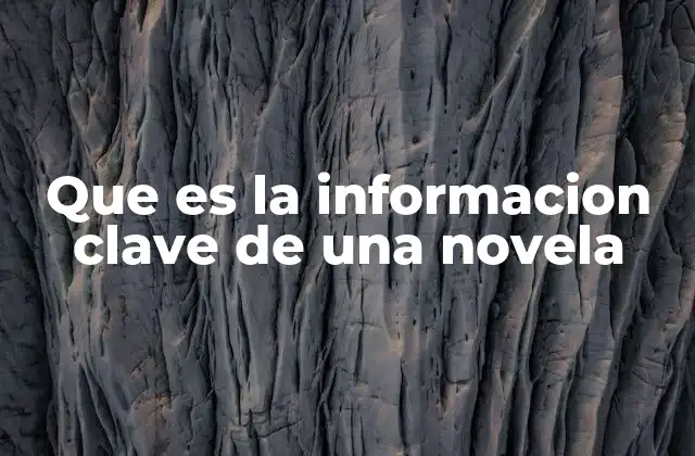 Que es la Informacion Clave de una Novela