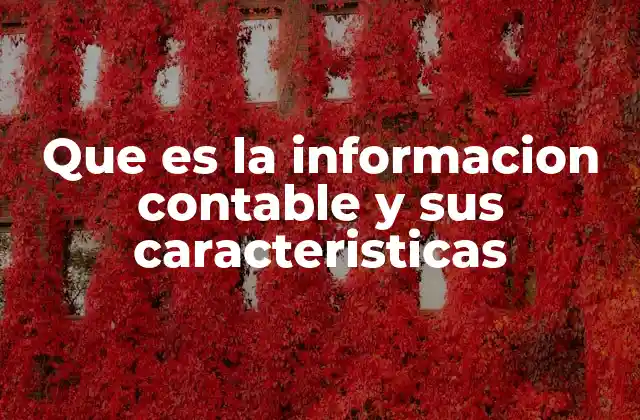 Que es la Informacion Contable y Sus Caracteristicas