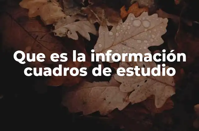 Que es la Información Cuadros de Estudio