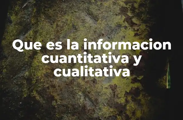 Que es la Informacion Cuantitativa y Cualitativa