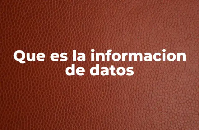 Que es la Informacion de Datos