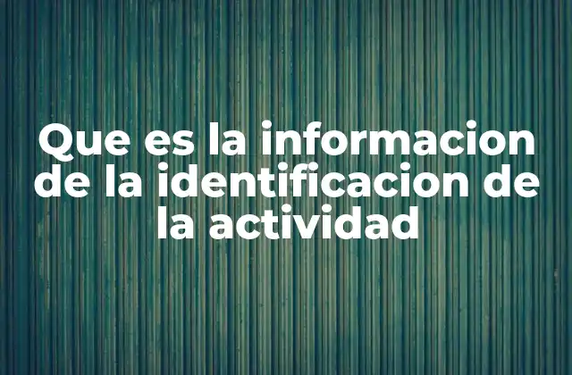 Que es la Informacion de la Identificacion de la Actividad