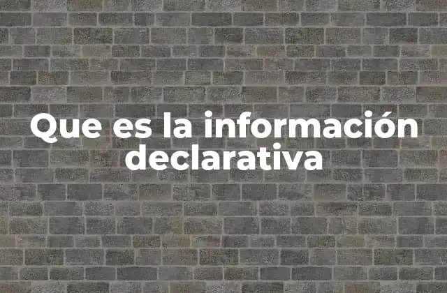 Que es la Información Declarativa
