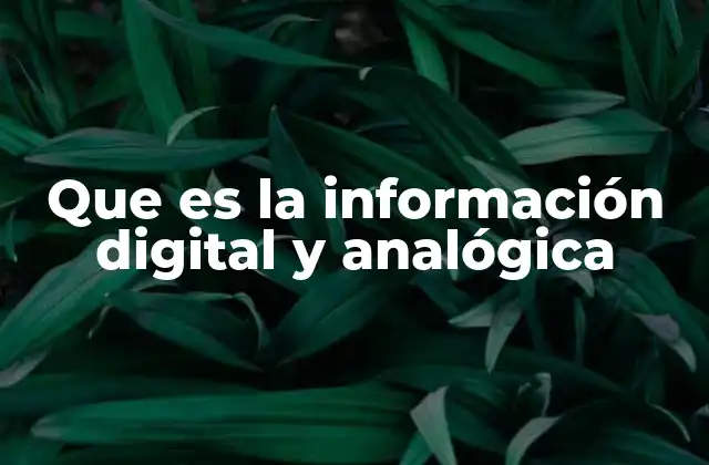 Que es la Información Digital y Analógica