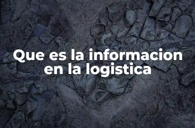Que es la Informacion en la Logistica