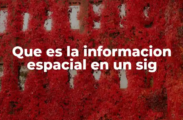 Que es la Informacion Espacial en un Sig