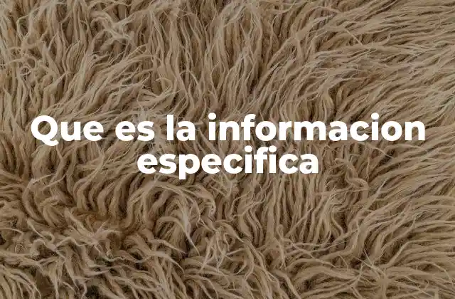 Que es la Informacion Especifica