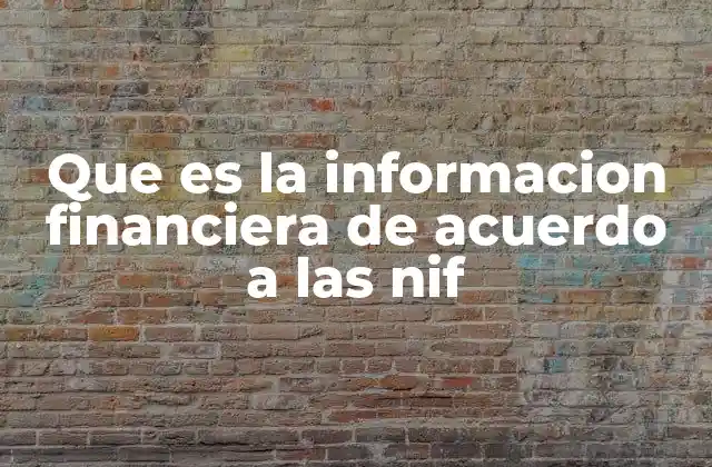 Que es la Informacion Financiera de Acuerdo a las Nif