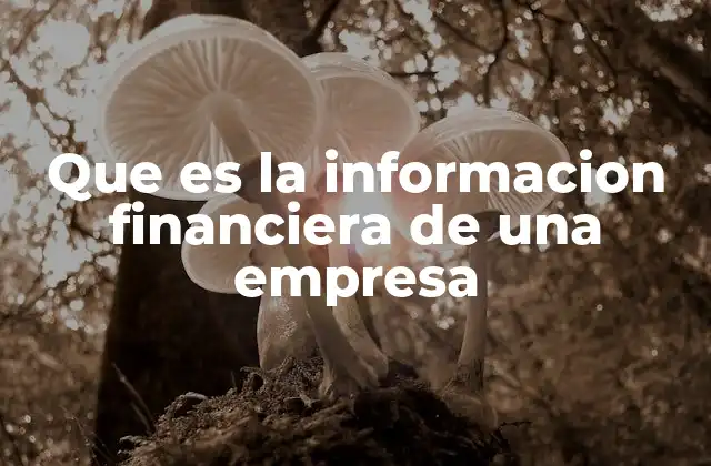 Que es la Informacion Financiera de una Empresa