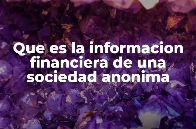 Que es la Informacion Financiera de una Sociedad Anonima