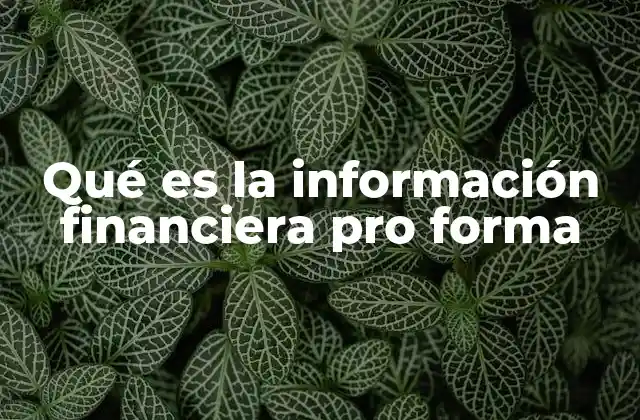 El papel de la información financiera pro forma en la gestión empresarial