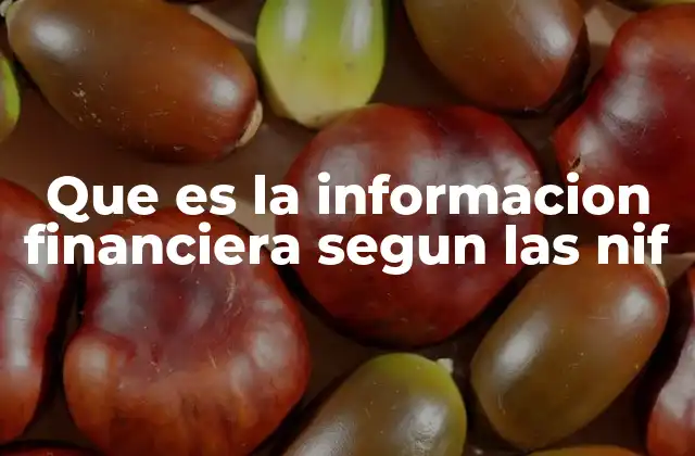 Que es la Informacion Financiera Segun las Nif