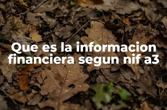 Que es la Informacion Financiera Segun Nif A3