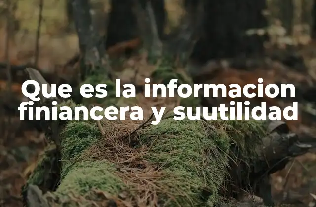 Que es la Informacion Finiancera y Suutilidad