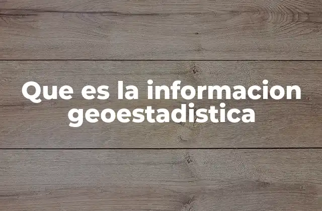 Que es la Informacion Geoestadistica