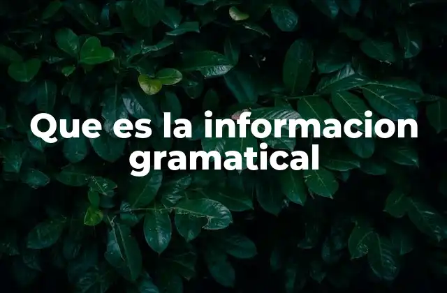 Que es la Informacion Gramatical