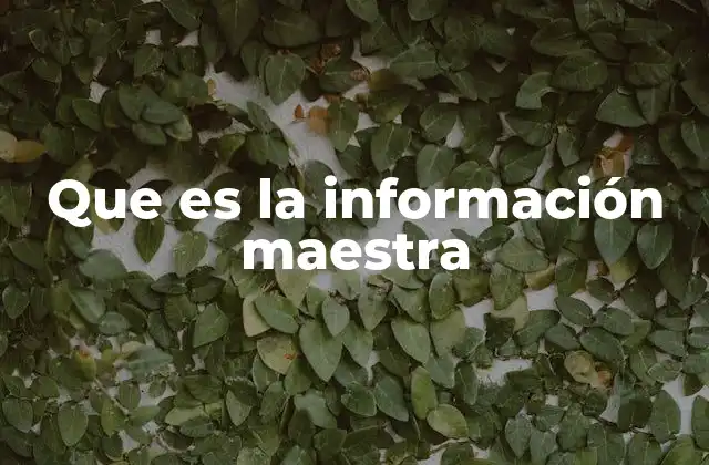 Que es la Información Maestra