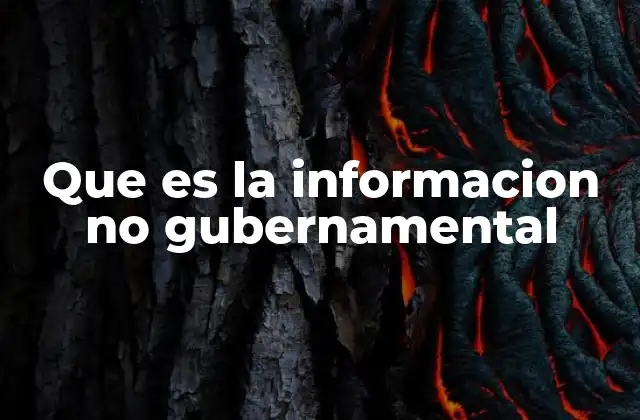 Que es la Informacion No Gubernamental
