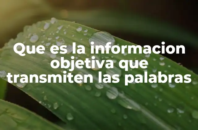 Que es la Informacion Objetiva que Transmiten las Palabras