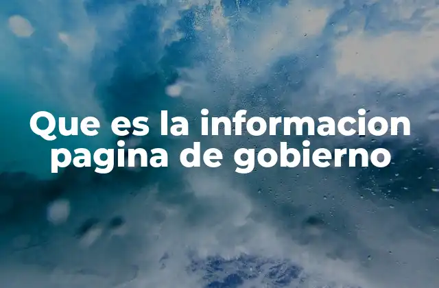 El rol de la información gubernamental en la sociedad moderna