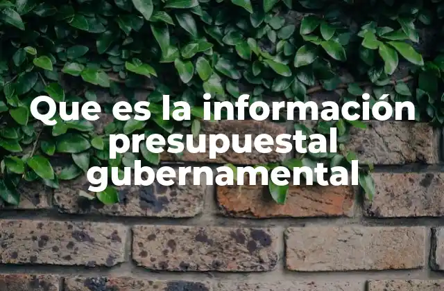 Que es la Información Presupuestal Gubernamental