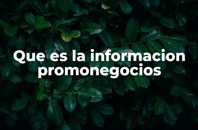 Que es la Informacion Promonegocios