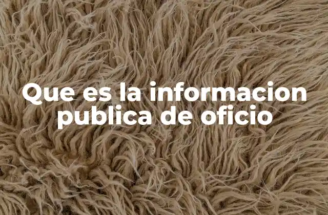 Que es la Informacion Publica de Oficio