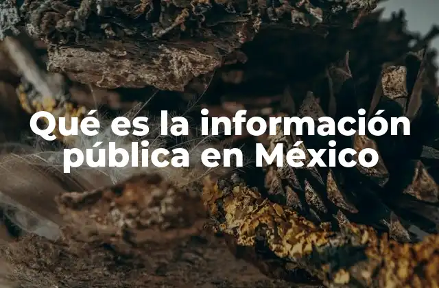 Qué es la Información Pública en México