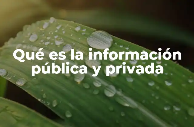 Qué es la Información Pública y Privada