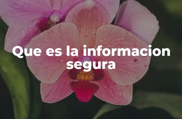Que es la Informacion Segura