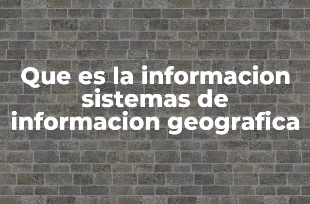 Que es la Informacion Sistemas de Informacion Geografica