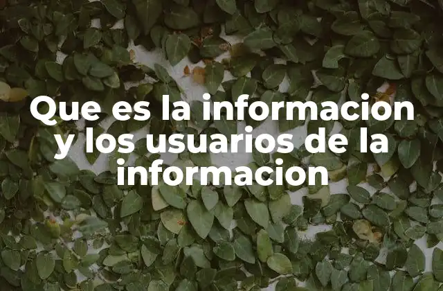 Que es la Informacion y los Usuarios de la Informacion