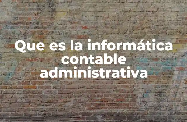 Que es la Informática Contable Administrativa