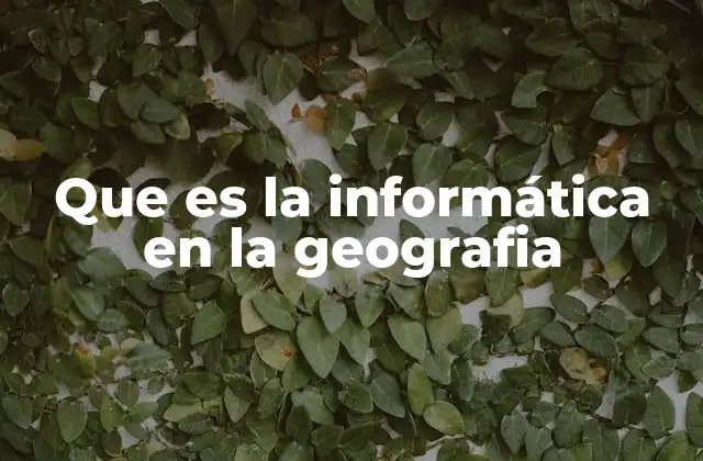 La geografía digital y el papel de la informática