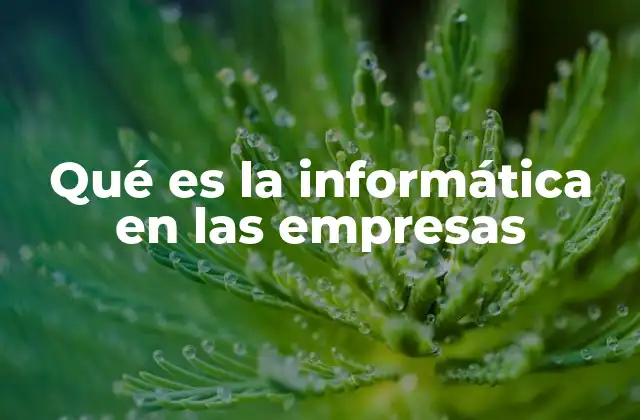 Qué es la Informática en las Empresas