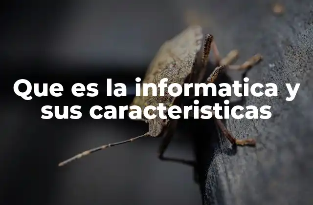 Que es la Informatica y Sus Caracteristicas
