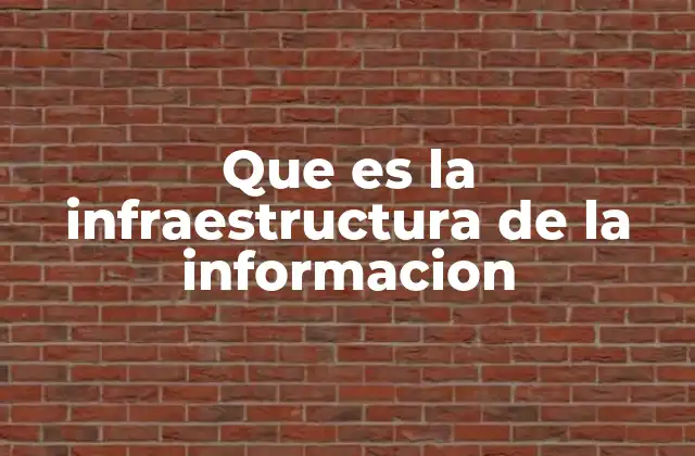 Que es la Infraestructura de la Informacion