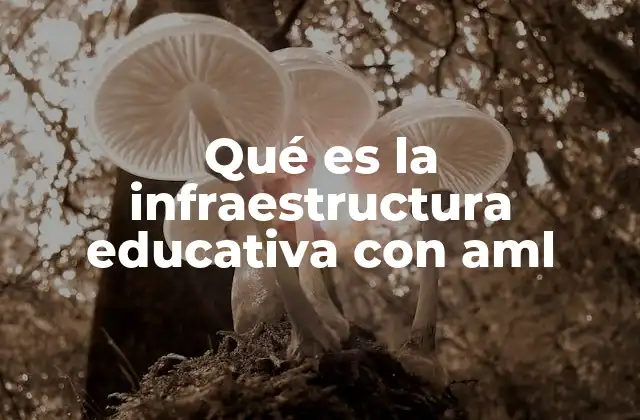 Qué es la Infraestructura Educativa con Aml
