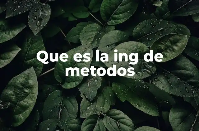 Que es la Ing de Metodos