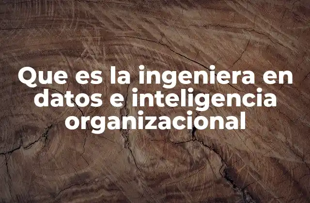 Que es la Ingeniera en Datos e Inteligencia Organizacional