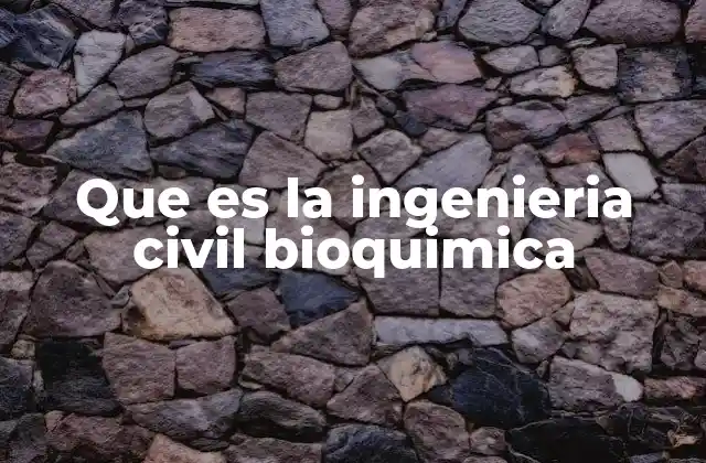 Que es la Ingenieria Civil Bioquimica