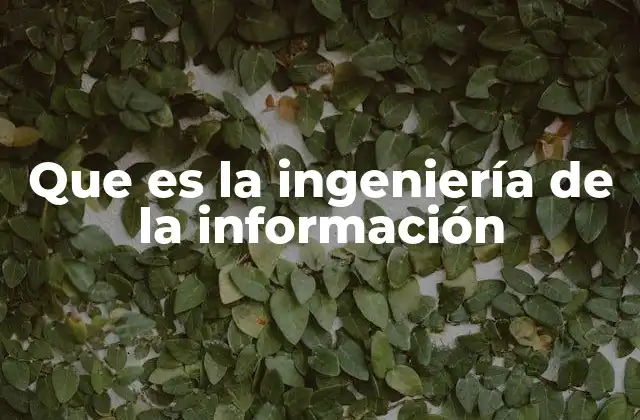 Que es la Ingeniería de la Información
