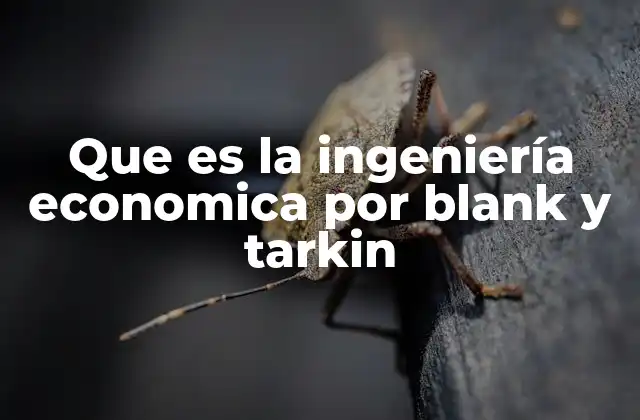 Que es la Ingeniería Economica por Blank y Tarkin