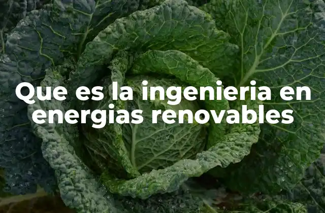 Que es la Ingenieria en Energias Renovables