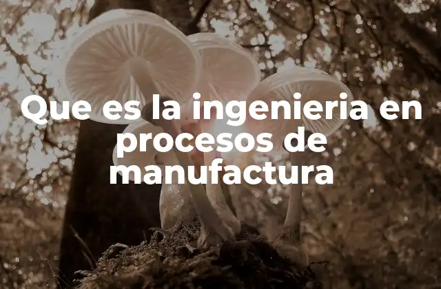Que es la Ingenieria en Procesos de Manufactura