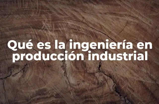 Qué es la Ingeniería en Producción Industrial