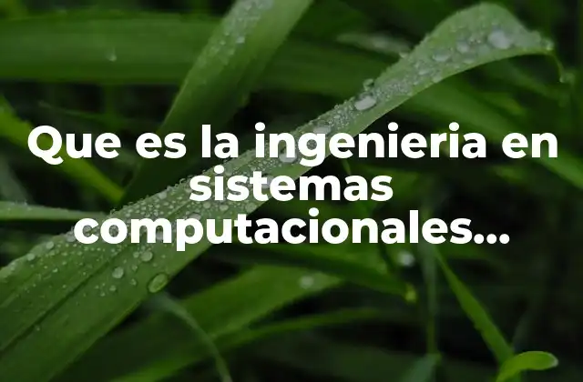 Que es la Ingenieria en Sistemas Computacionales Campo Laboral