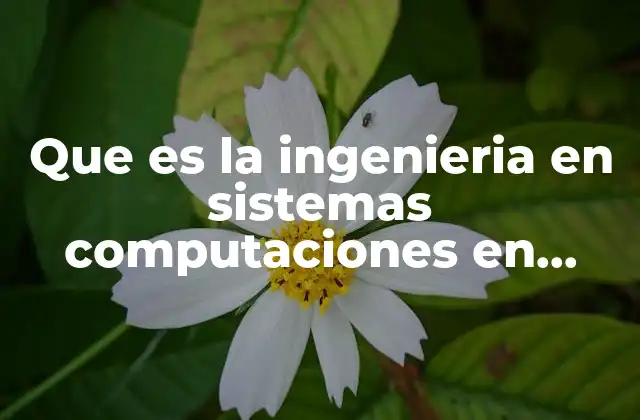 Que es la Ingenieria en Sistemas Computaciones en Telecomunicaciones