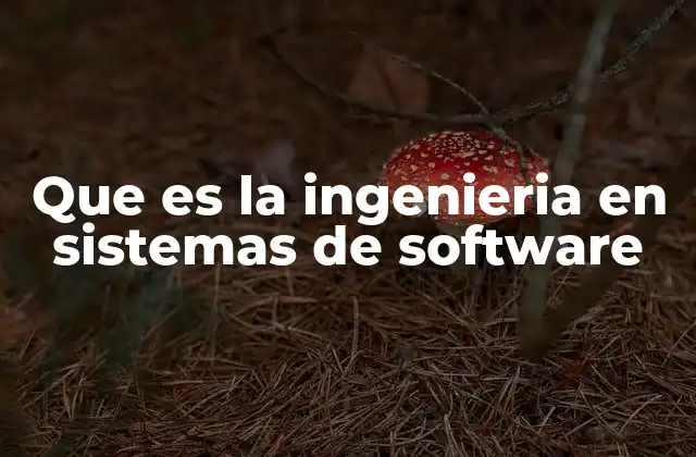 Que es la Ingenieria en Sistemas de Software