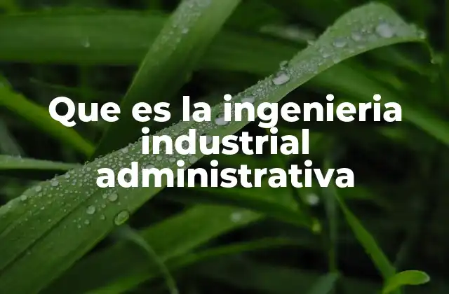 Que es la Ingenieria Industrial Administrativa